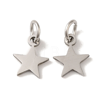 Non-Tarnish 201 Stainless Steel Charms STAS-E217-25B-P-1