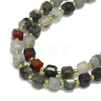 Natural Africa Bloodstone Beads Strand G-I376-D75-01-1