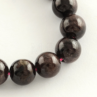 Natural Garnet Gemstone Bead Strands LS-G-R263-10mm-1