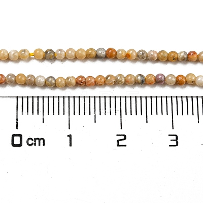 Natural Crazy Agate Bead Strands X-G-A130-2mm-K10-1