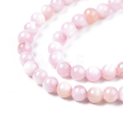 Natural Freshwater Shell Beads Strands X-BSHE-T009A-01C-1