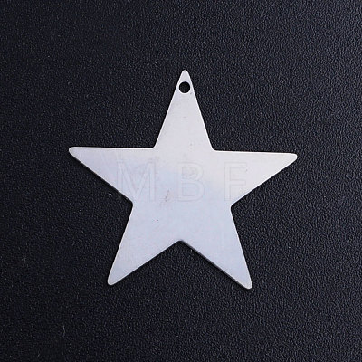 201 Stainless Steel Charms STAS-T049-T688-1-1