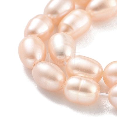 Natural Cultured Freshwater Pearl Beads Strands PEAR-P062-10G-1