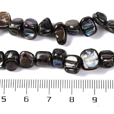 Natural Freshwater Shell Beads Strands BSHE-S304-06-1