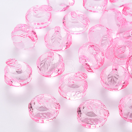 Transparent Acrylic Pendants TACR-T024-05B-903-1