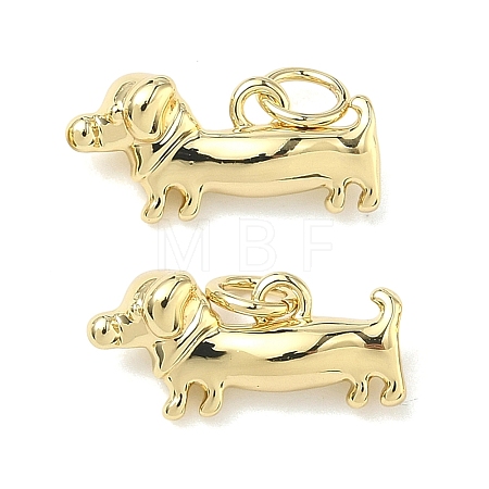 Brass Pendants KK-G555-01G-02-1