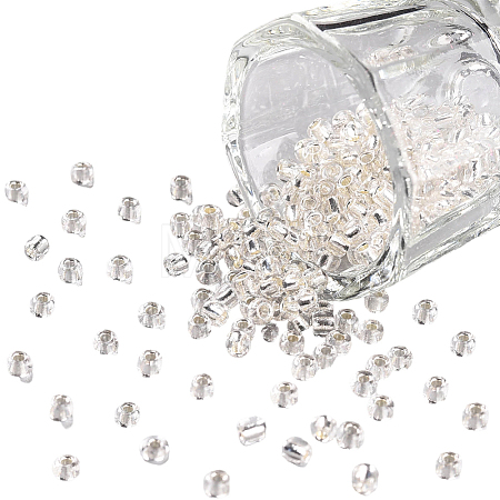 3000Pcs Glass Seed Beads SEED-PA0001-29B-05-1