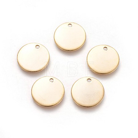 304 Stainless Steel Charms X-STAS-I098-06-1