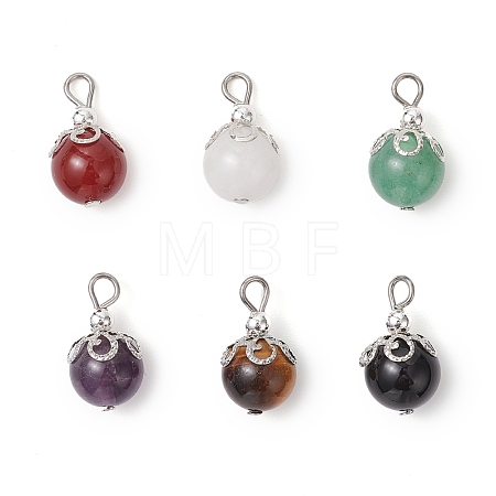 6Pcs 6 Styles Natural Black Onyx & Carnelian & Tiger Eye & Green Aventurine & White Jade Round Pendants PALLOY-JF04229-1