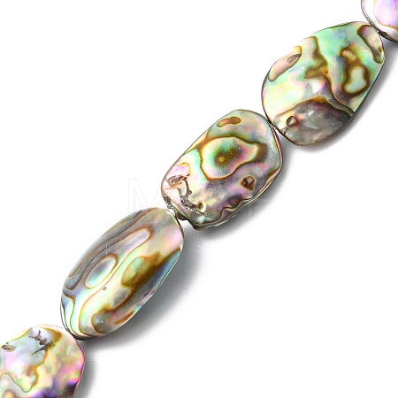 Natural Paua Shell Beads Strands SHEL-F006-03-1