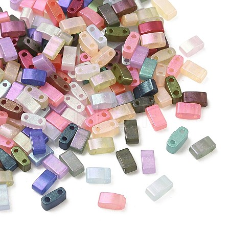 Glass 2-Hole Baking Paint Glass Seed Beads GLAA-G130-01F-1