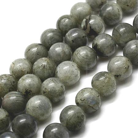 Natural Labradorite Bead Strands G-P256-01-6mm-1