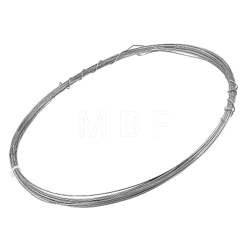 Titanium Steel Wire TWIR-WH0002-20C-1
