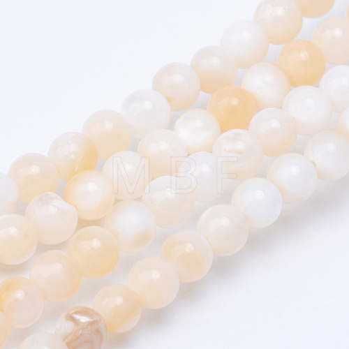 Natural Freshwater Shell Bead Strands X-SHEL-S253-01-1