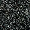 TOHO Round Seed Beads SEED-TR08-0383-2