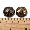 Natural Bronzite Cabochons G-C115-02A-25-3