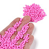 6/0 Baking Paint Glass Seed Beads X-SEED-S003-K2-4