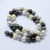 Shell Pearl Beads Strands BSHE-K053-04-8mm-11-2