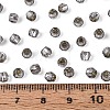 Silver Lined Glass Seed Beads SEED-T007-18A-04-4