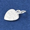 Alloy Charms FIND-H012-04S-2