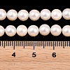 Electroplated Shell Pearl Beads Strands BSHE-C011-01A-4