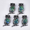Abalone Shell/Paua Shell Brooches/Pendants X-RESI-S376-12-1