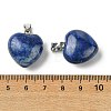 Natural Lapis Lazuli Pendants G-F820-10A-07-3