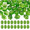 30Pcs Transparent Handmade Lampwork Beads LAMP-TADJ0001-12M-1