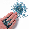 3000Pcs Glass Seed Beads SEED-PA0001-29A-03-3