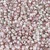 Baking Paint Glass Seed Beads SEED-Q041-03A-12-3