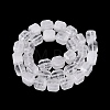 Natural Quartz Crystal Beads Strands G-Q608-10P-3