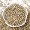 Transparent Inside Colours Glass Seed Beads X1-SEED-A032-04V-2