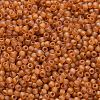 TOHO 11/0 Round Beads X-SEED-TR11-0162CF-2