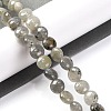 Natural Labradorite Beads Strands G-T047-A18-01-2