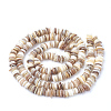 Natural Shell Beads Strands X-SSHEL-Q298-13-2