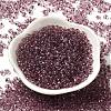 Transparent Colours Glass Seed Beads SEED-P006-02A-13-2