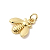 Brass Charms KK-I364-05G-05-2