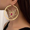 Alloy & Rhinestone Hoop Earrings FS-WGBCAF6-01-1