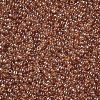 12/0 FGB Grade A Round Glass Seed Beads X-SEED-Q011-F501-2