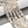 Natural White Moonstone Beads Strands G-P497-01E-69C-1