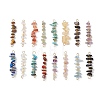 16Pcs 16 Styles Natural Mixed Stone Chip and Glass Seed Beaded Connector Charms PALLOY-JF03328-01-1