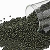 TOHO Round Seed Beads SEED-JPTR15-0617-1