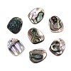 Natural Paua Shell Nuggets Charms SHEL-T020-11B-1