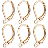 100Pcs 316L Surgical Stainless Steel Leverback Earring Findings STAS-BBC0010-61G-1
