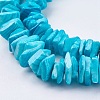 Natural Sea Shell Beads Strands BSHE-K012-08C-4