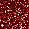 Picasso Spray Painted Glass Seed Beads SEED-T006-04-30-2