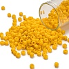 TOHO 6/0 Round Beads SEED-XTR06-0042BF-1