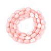 Natural Trochus Shell Beads Strands SHEL-K006-19-01F-2