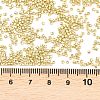 MIYUKI Delica Beads SEED-MY11-DB2502-3
