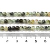 Natural Prehnite Beads Strands G-B088-E16-04-5